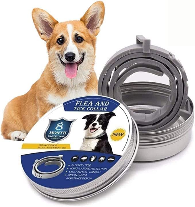 Collier anti-puces et tiques pour chien. Protection naturelle 8 mois.  Ingrédients naturels, imperméable.