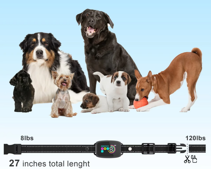 Collier dressage chien avec télécommande, 8 niveaux vibration/choc. Dressage efficace et sécurisé pour animaux.