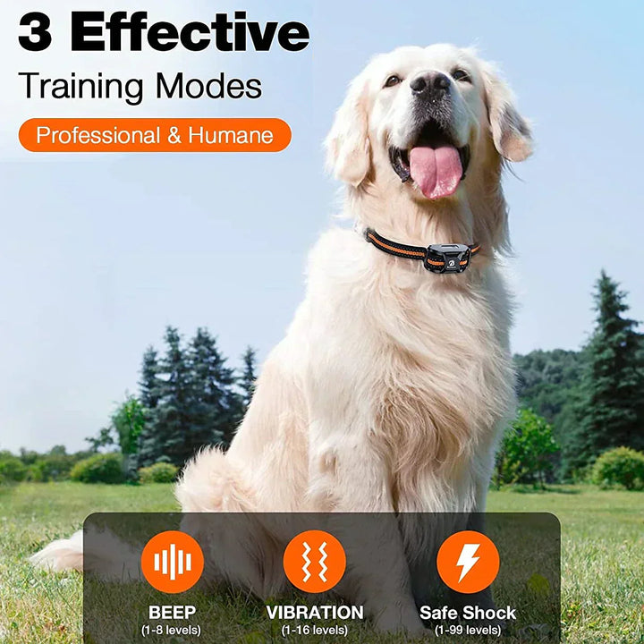 Collier dressage chien rechargeable, étanche. Portée 1000m.  Modes son, vibration, stimulation. Ajustable, toutes tailles.