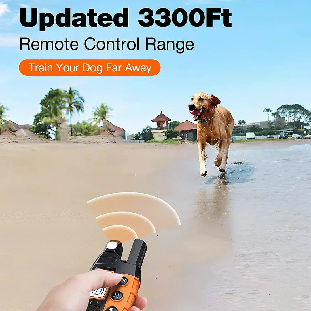 Collier dressage chien rechargeable, étanche. Portée 1000m.  Modes son, vibration, stimulation. Ajustable, toutes tailles.