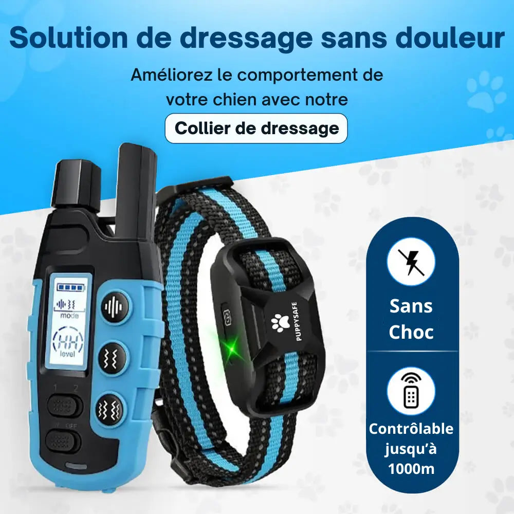 Collier dressage chien, vibrations, sans choc.  Confort optimal, ajustable, toutes tailles. Dressage bienveillant.