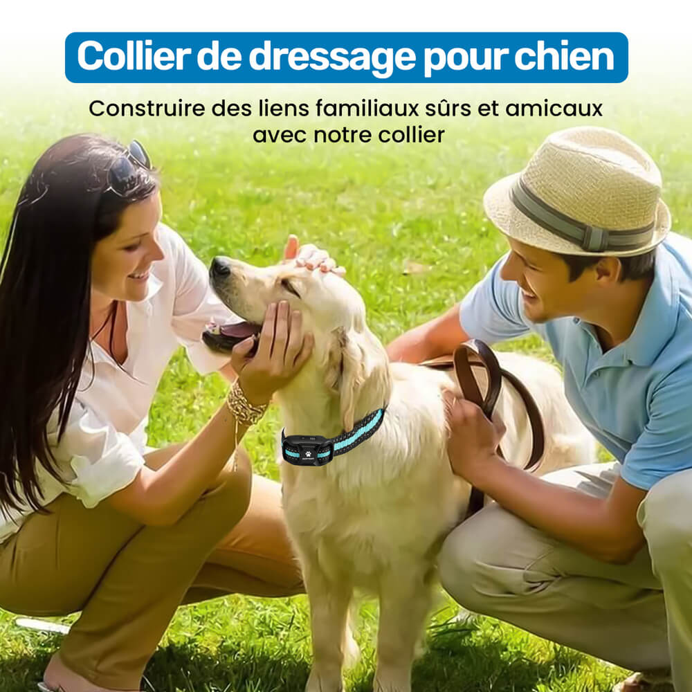Collier dressage chien, vibrations, sans choc.  Confort optimal, ajustable, toutes tailles. Dressage bienveillant.