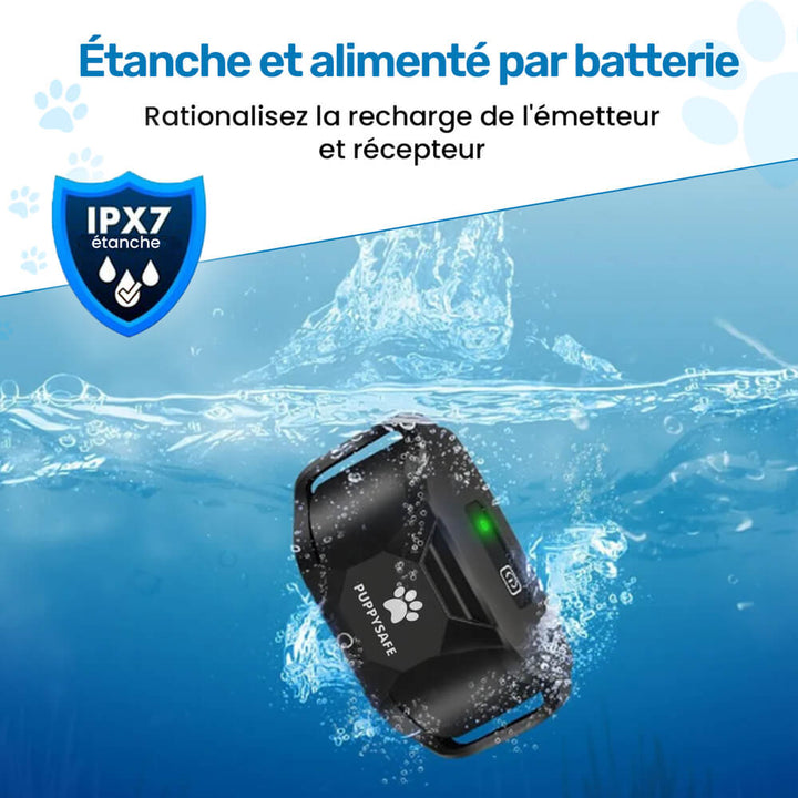 Collier dressage chien, vibrations, sans choc.  Confort optimal, ajustable, toutes tailles. Dressage bienveillant.