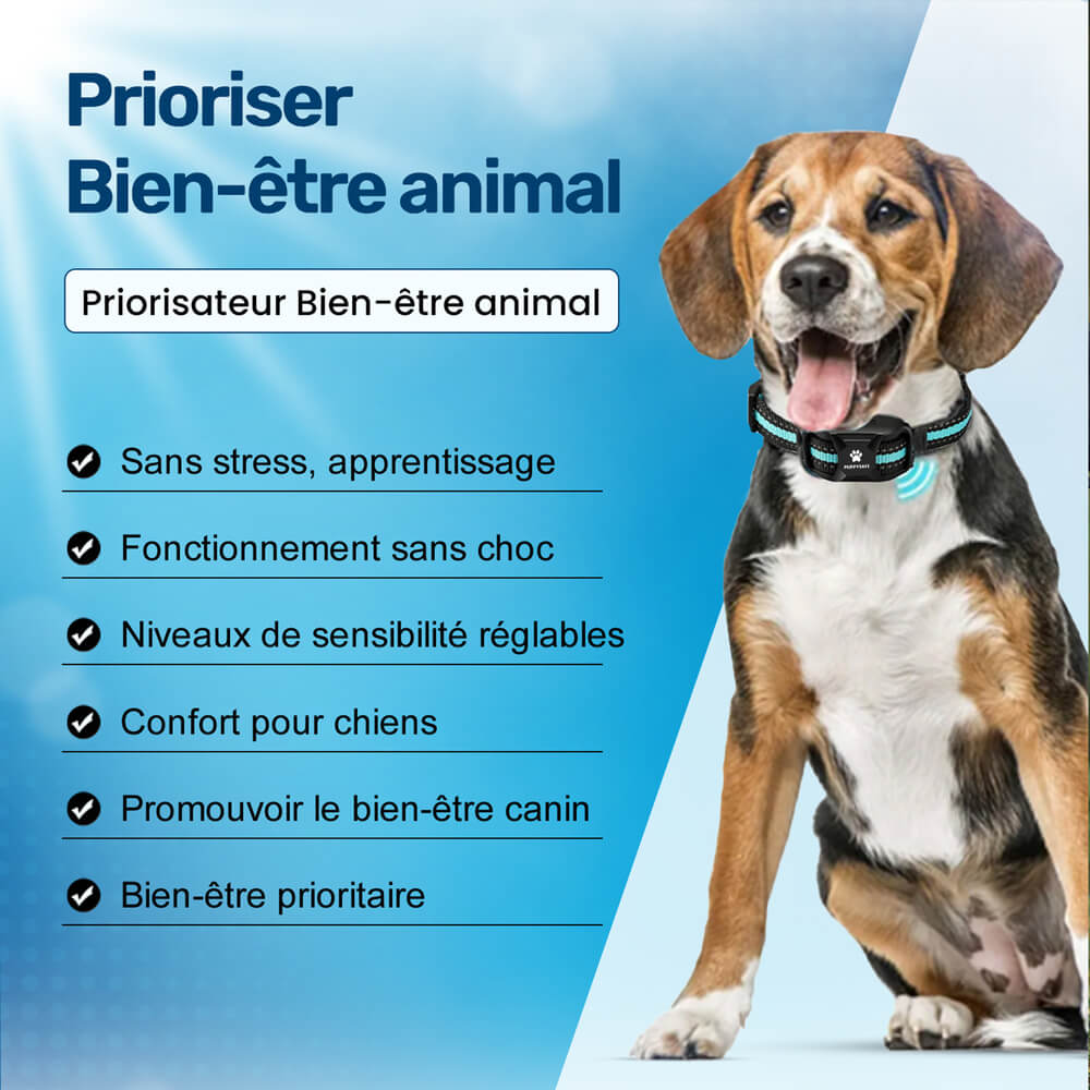 Collier dressage chien, vibrations, sans choc.  Confort optimal, ajustable, toutes tailles. Dressage bienveillant.