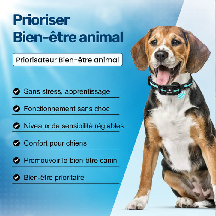 Collier dressage chien, vibrations, sans choc.  Confort optimal, ajustable, toutes tailles. Dressage bienveillant.