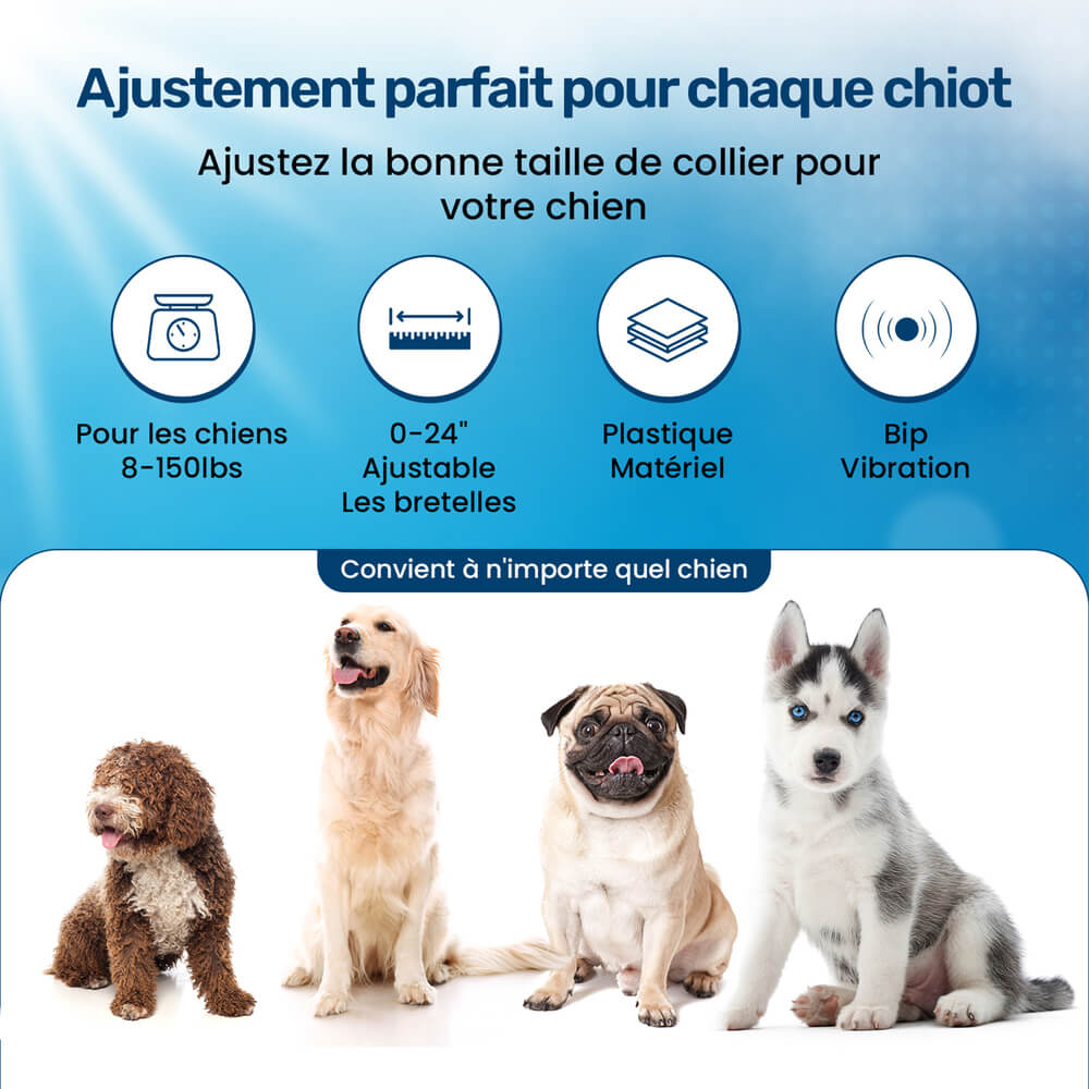 Collier dressage chien, vibrations, sans choc.  Confort optimal, ajustable, toutes tailles. Dressage bienveillant.