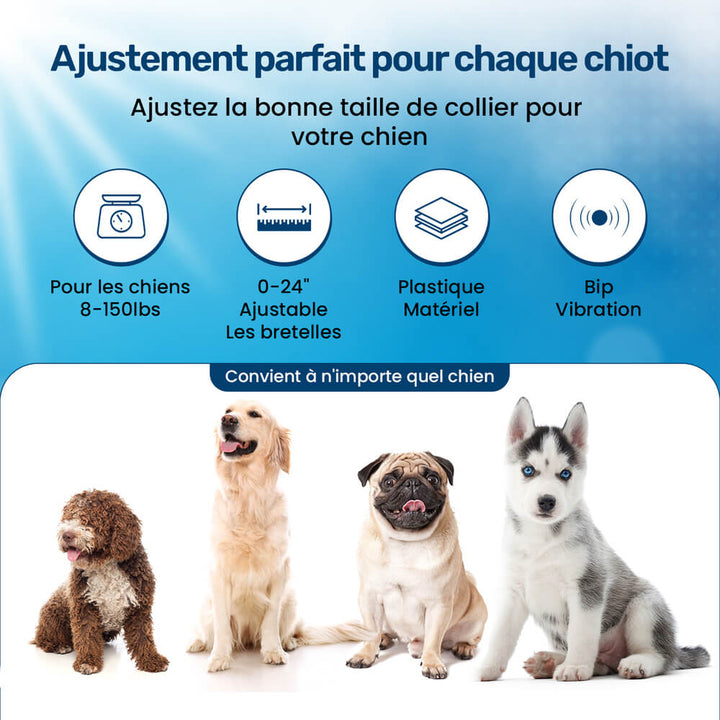 Collier dressage chien, vibrations, sans choc.  Confort optimal, ajustable, toutes tailles. Dressage bienveillant.