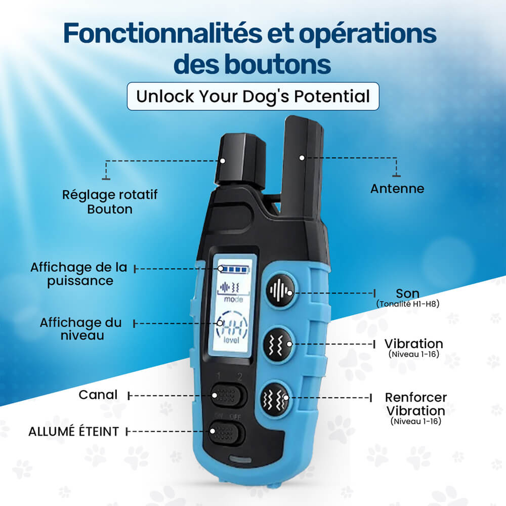 Collier dressage chien, vibrations, sans choc.  Confort optimal, ajustable, toutes tailles. Dressage bienveillant.