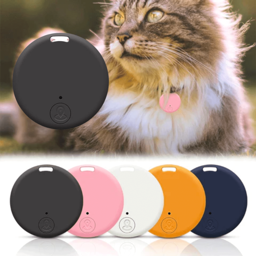 Collier GPS chat léger, discret.  Suivi GPS précis, résistant à l'eau.  Liberté et sécurité pour votre chat.