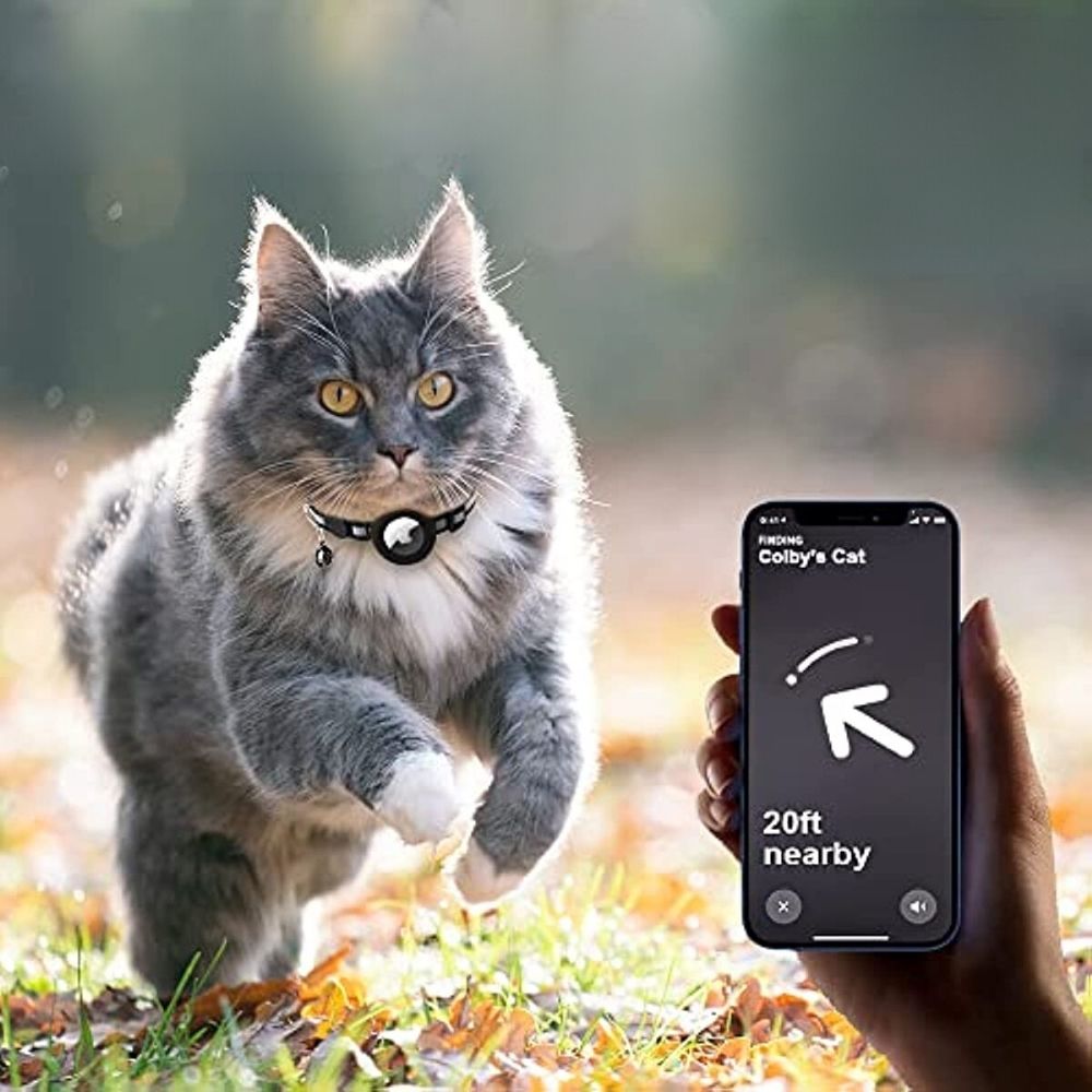Collier chat réfléchissant, GPS intégré, anti-étranglement, idéal pour les sorties nocturnes du chat.