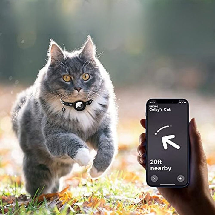 Collier chat réfléchissant, GPS intégré, anti-étranglement, idéal pour les sorties nocturnes du chat.