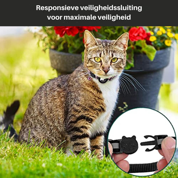 Collier GPS pour chat, sécurité renforcée, nylon réfléchissant pour la localisation nocturne.