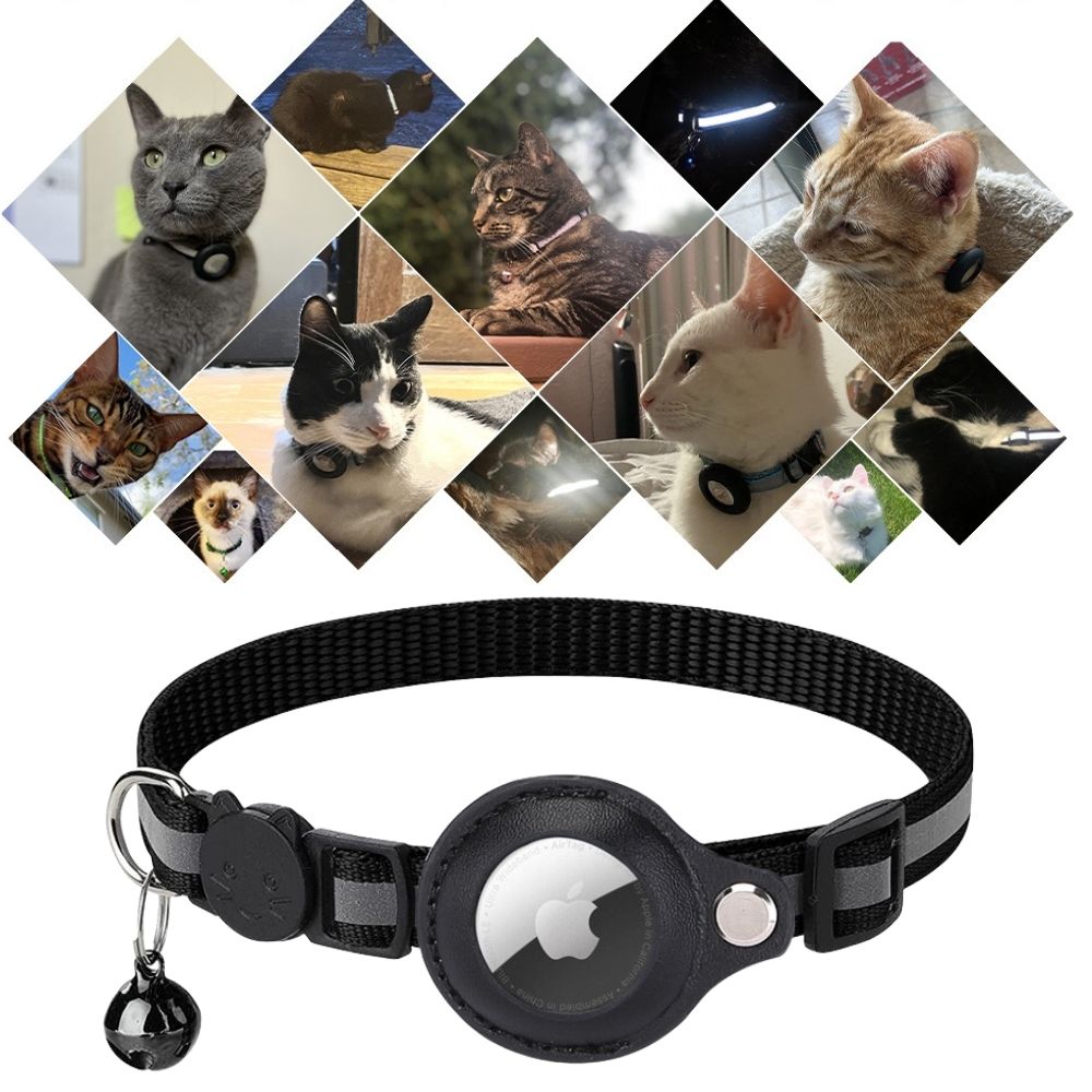 Accessoire chat: collier traceur GPS, visibilité nocturne, fermeture rapide anti-étranglement.