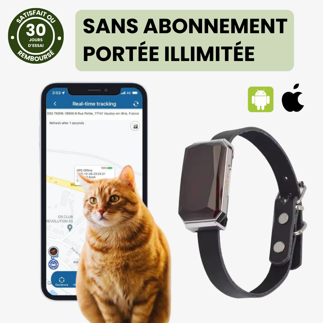 Collier GPS pour chien et chat. Suivi précis et portée illimitée.  Localisation en temps réel.
