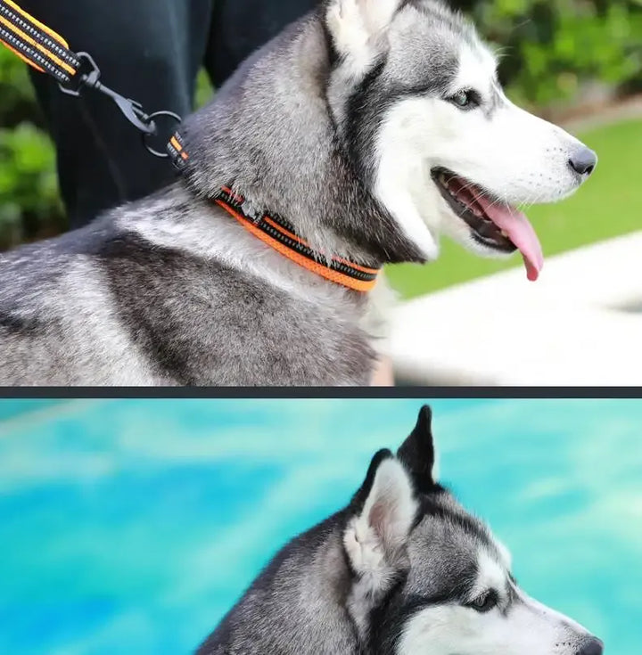 Collier réfléchissant pour chien avec bandes lumineuses, réglable, tissu respirant, idéal pour promenades nocturnes.