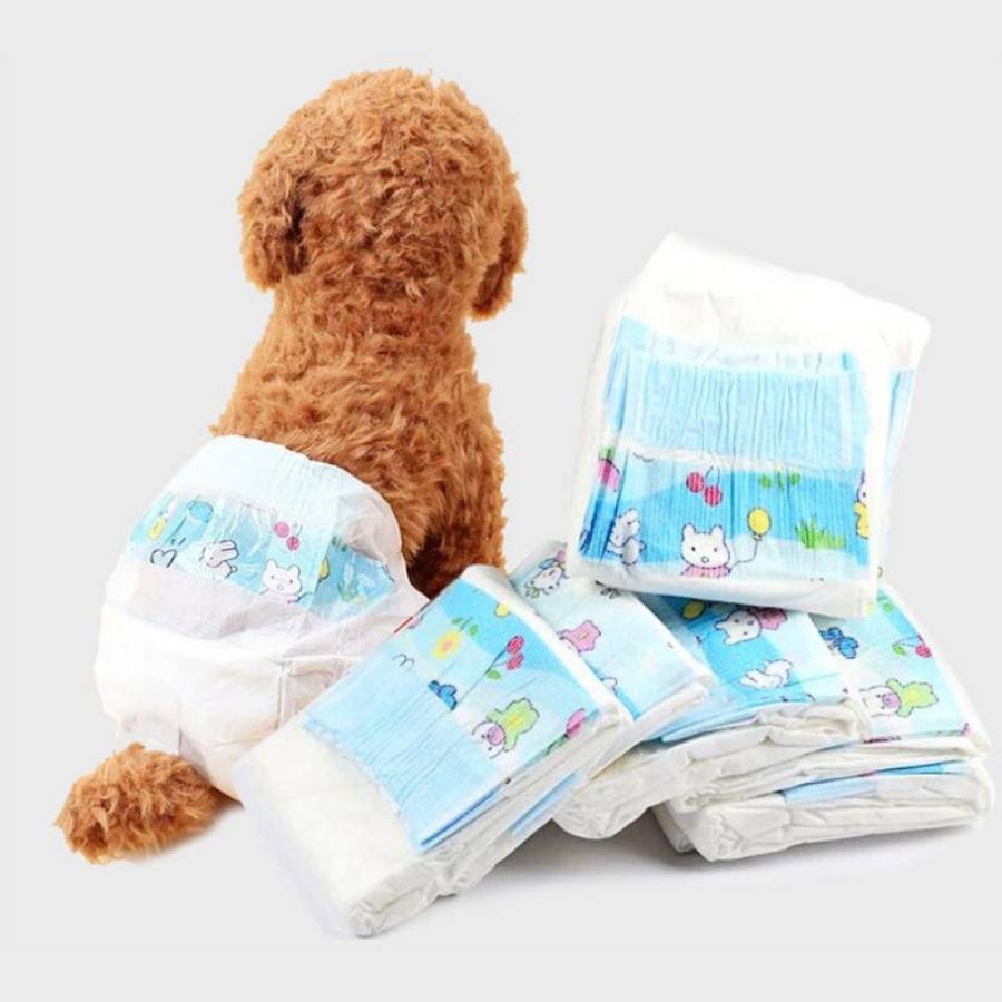 Couche chien absorbante, anti-fuite et anti-odeur. Confort optimal pour chiens mâles et femelles.