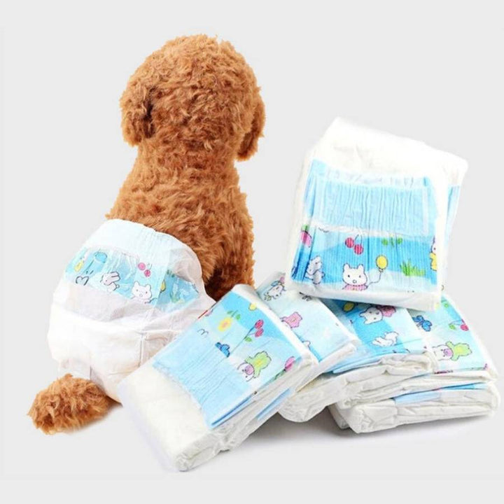 Couche chien absorbante, anti-fuite et anti-odeur. Confort optimal pour chiens mâles et femelles.