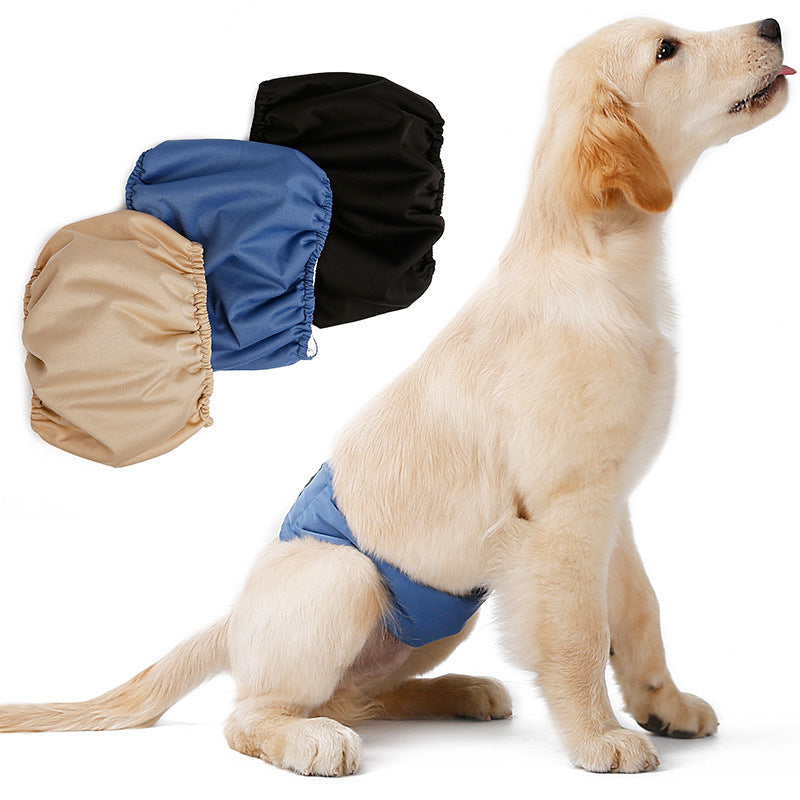 Couche pour chien mâle incontinent, protection et confort.