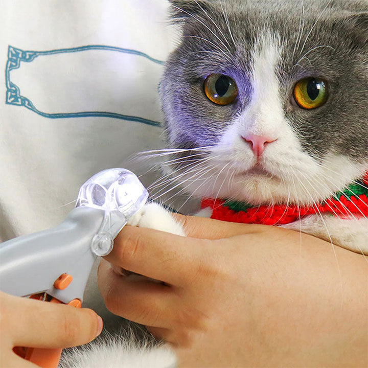 Coupe-ongles chien, design ergonomique, coupe précise et sécurisée, soin facile des griffes.