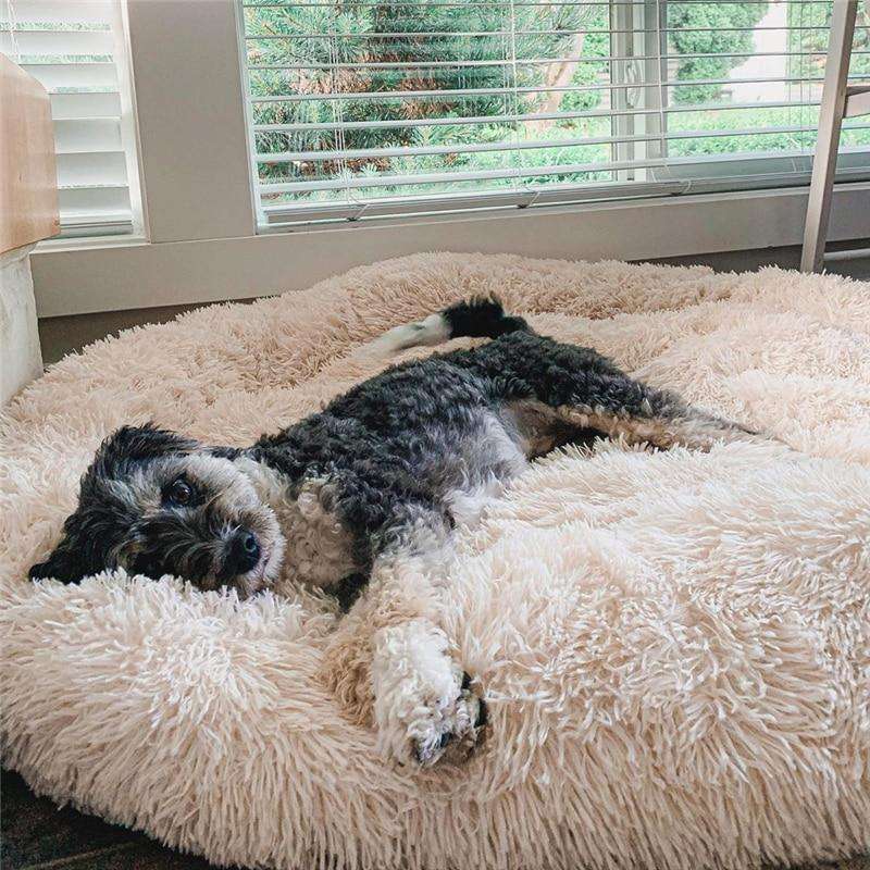 Coussin confortable pour chien, anti-stress.  Design apaisant, idéal pour un sommeil paisible.