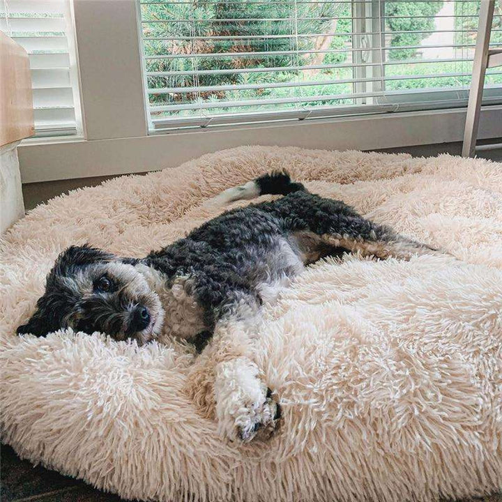 Coussin confortable pour chien, anti-stress.  Design apaisant, idéal pour un sommeil paisible.