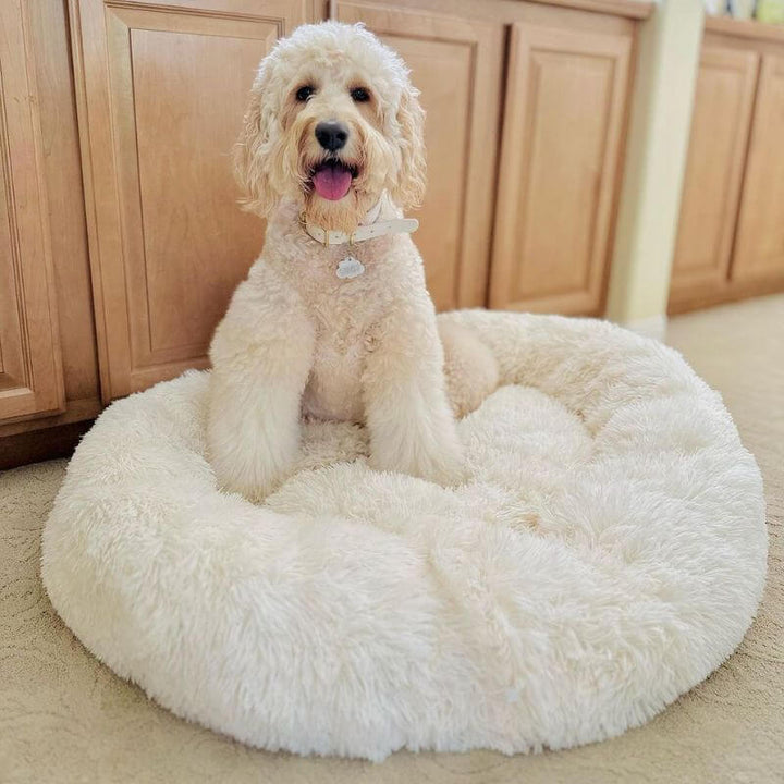 Coussin confortable pour chien, anti-stress.  Design apaisant, idéal pour un sommeil paisible.