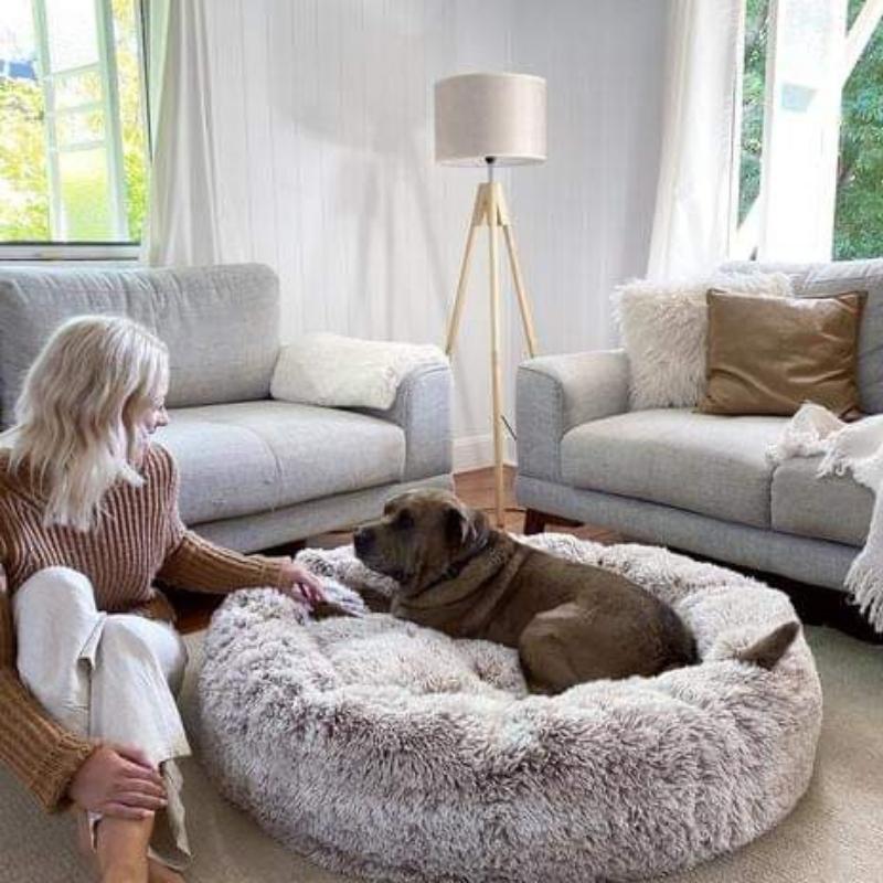 Coussin confortable pour chien, anti-stress.  Design apaisant, idéal pour un sommeil paisible.