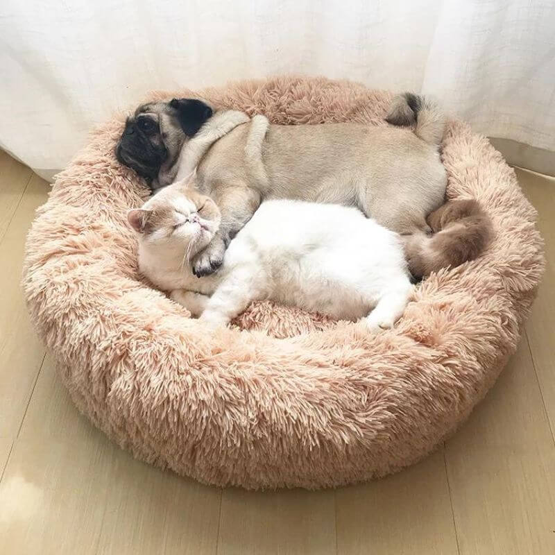 Coussin moelleux anti-stress pour chat.  Confort optimal, design ergonomique. Plusieurs tailles et couleurs.