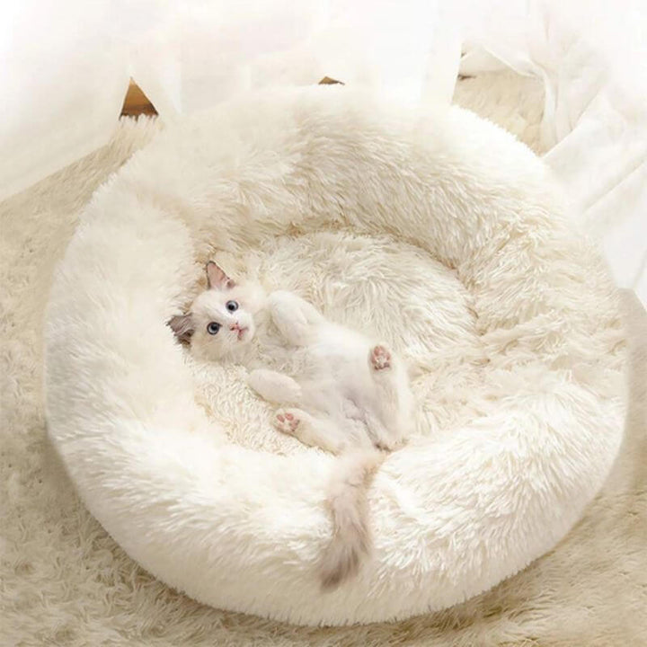 Coussin moelleux anti-stress pour chat.  Confort optimal, design ergonomique. Plusieurs tailles et couleurs.