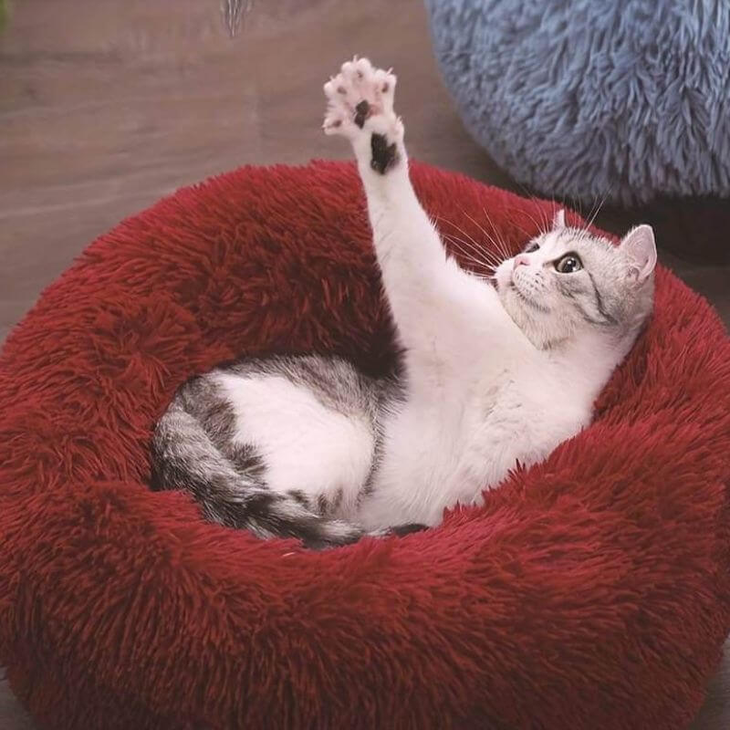 Coussin moelleux anti-stress pour chat.  Confort optimal, design ergonomique. Plusieurs tailles et couleurs.