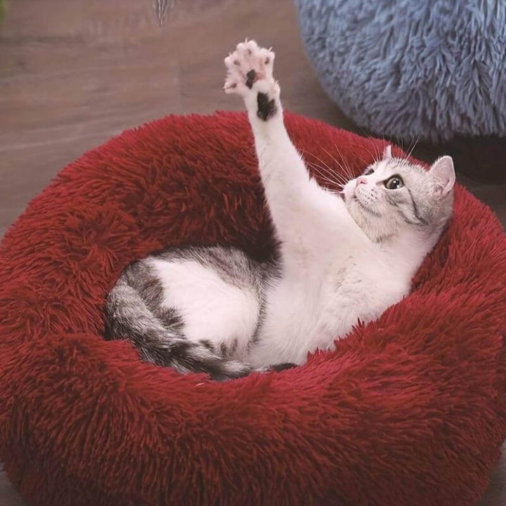 Coussin moelleux anti-stress pour chat.  Confort optimal, design ergonomique. Plusieurs tailles et couleurs.