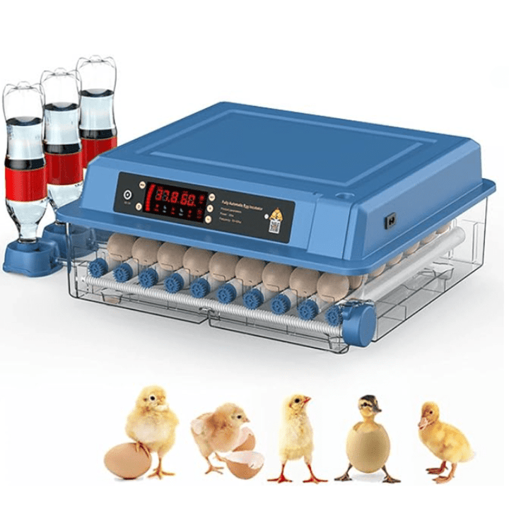 Couveuse automatique professionnelle pour 15 œufs.  Incubation facile avec retournement automatique et contrôle d'humidité.