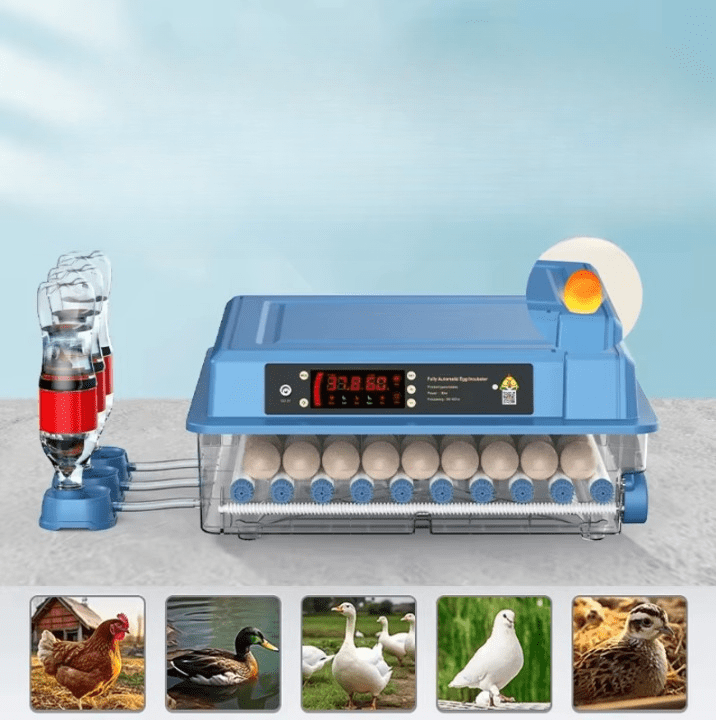 Couveuse automatique professionnelle pour 15 œufs.  Incubation facile avec retournement automatique et contrôle d'humidité.