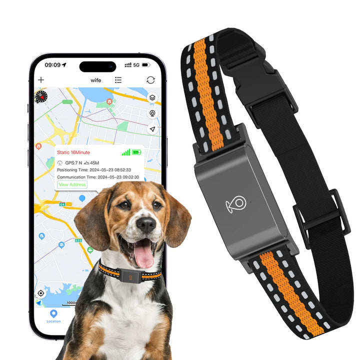 Collier GPS Chien Chat - Portée Illimitée, Suivi Précis