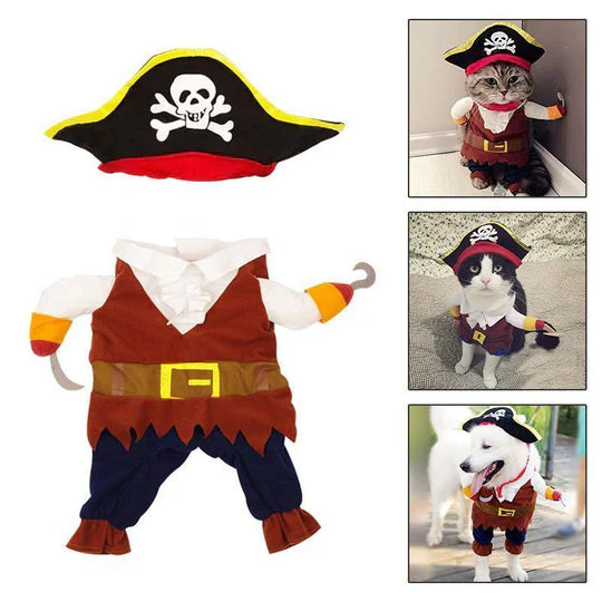 "Déguisement créatif chien pirate avec chapeau et foulard, costume original pour occasions spéciales, confort optimal"