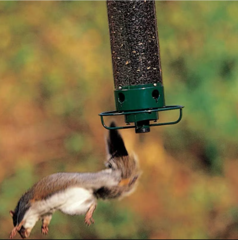 "Distributeur de graines robuste et antiecureuil pour jardin, design innovant garantissant l'accès uniquement aux oiseaux."