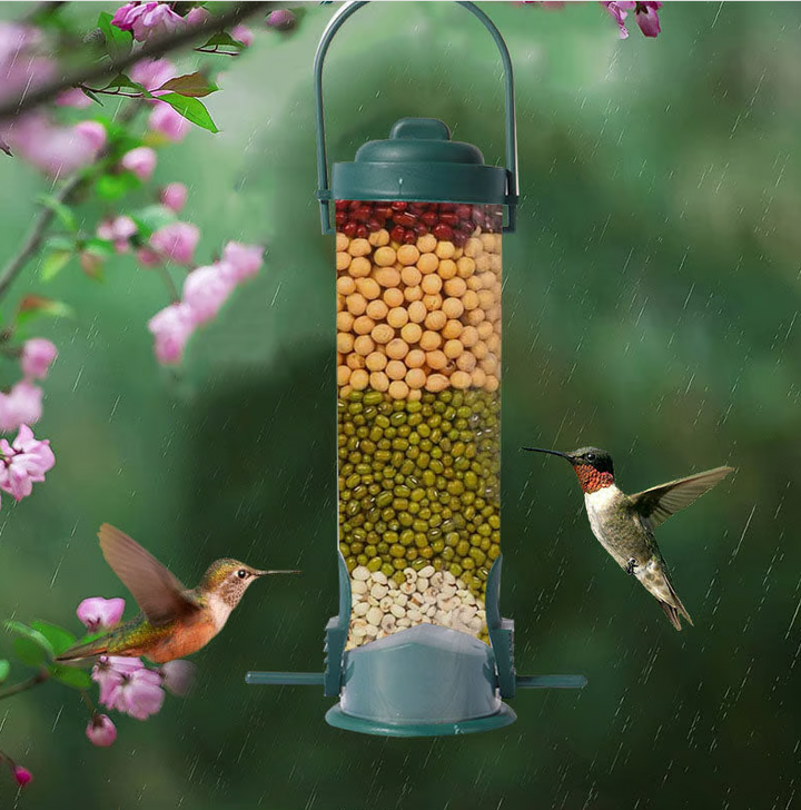 "Distributeur de graines robuste et antiecureuil pour jardin, design innovant garantissant l'accès uniquement aux oiseaux."