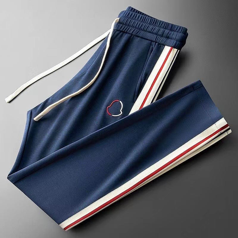 Ensemble survêtement moderne, coupe décontractée.  Confort et style pour le sport et les loisirs.