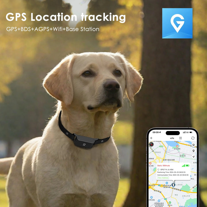 Collier GPS Chien Chat - Portée Illimitée, Suivi Précis