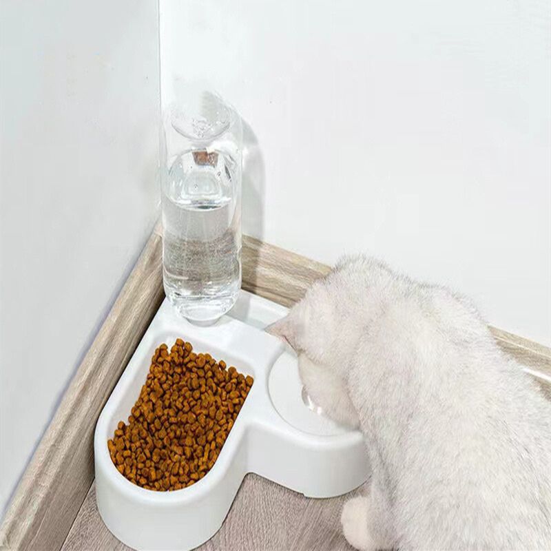 Fontaine à eau chat 500ml, sans électricité. Design moderne et compact, système 2-en-1 pour eau et nourriture.