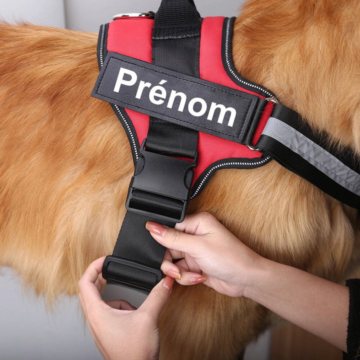 Harnais Anti-Traction pour Chien Personnalisable et Réfléchissant