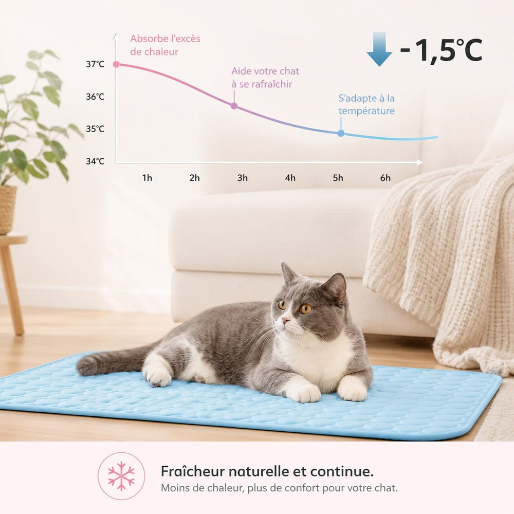 Tapis gel rafraîchissant pour chat, idéal pour un couchage frais et un confort anti-chaleur.