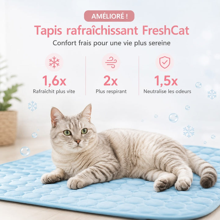 Chat allongé confortablement sur un tapis rafraîchissant gris, accessoire essentiel pour l'été.