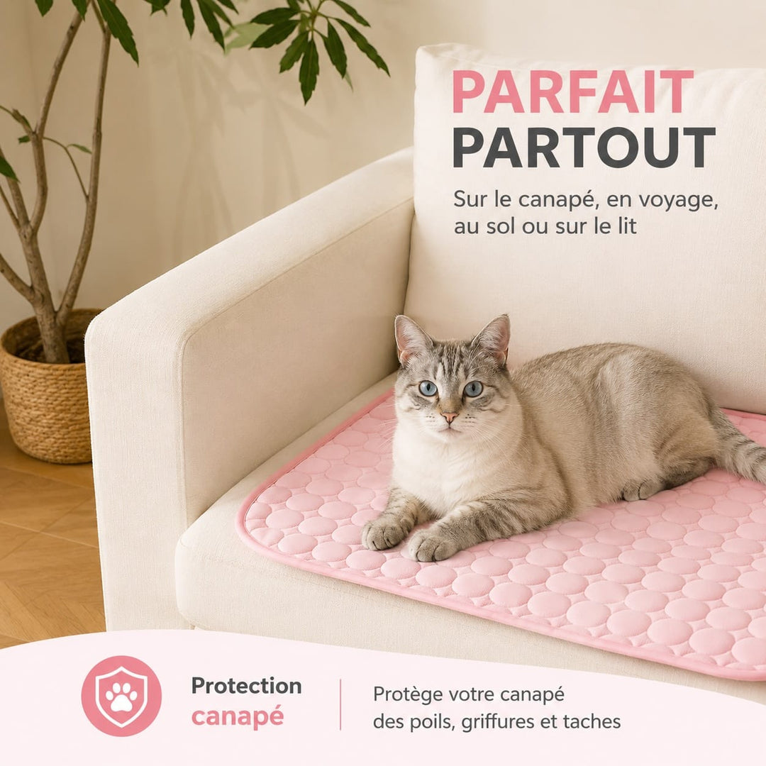 Solution anti-chaleur pour chat : tapis rafraîchissant et couchage frais pour animaux.