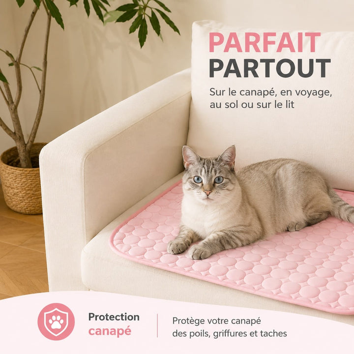 Solution anti-chaleur pour chat : tapis rafraîchissant et couchage frais pour animaux.