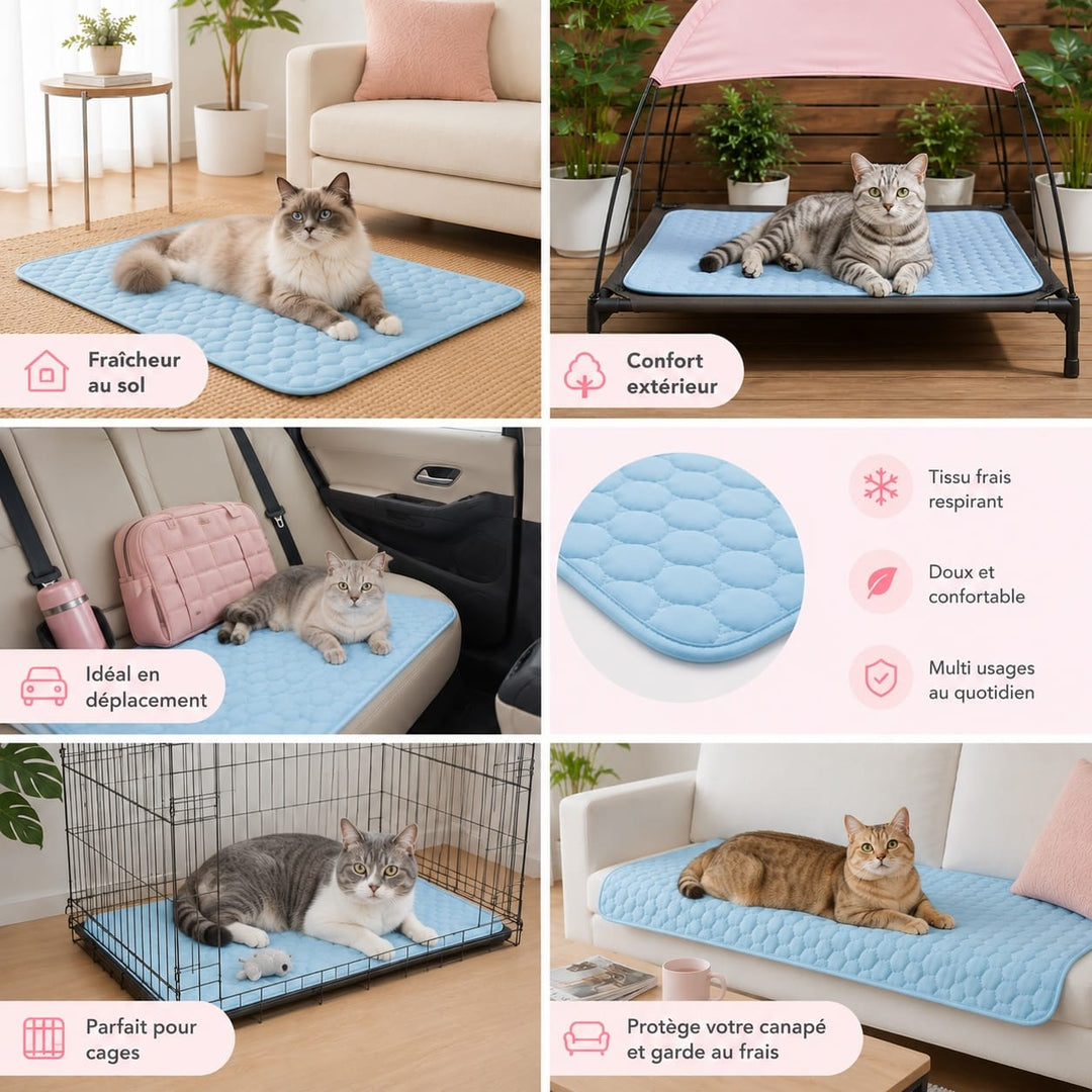 Tapis rafraîchissant pour chat garantissant un confort maximal et un soulagement de la chaleur estivale.