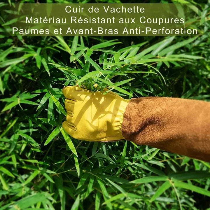 Gants de jardinage en cuir anti-épines, longs pour protection maximale des mains et avant-bras durant élagage et travaux.