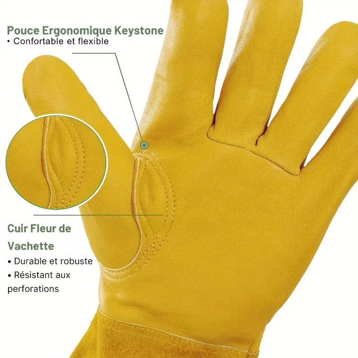 Paire de gants de jardinage en cuir résistant, idéaux pour protection durable contre épines et coupures lors du travail.