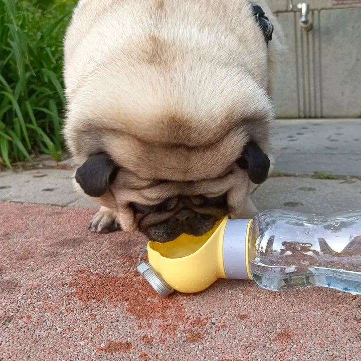 Gourde chien 2-en-1: abreuvoir et gamelle portables.  Idéal voyage, randonnée.