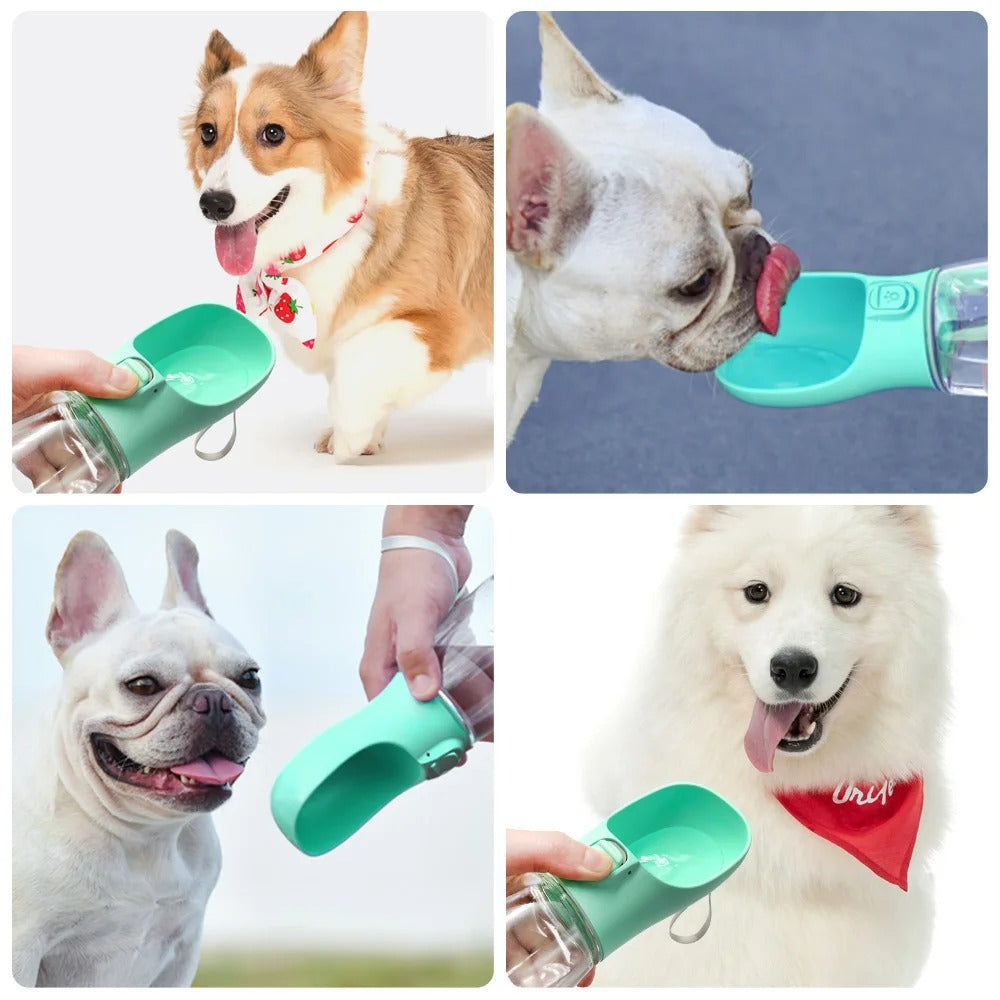 Gourde chien écologique, légère et résistante.  Hydratation facile pour vos balades.  Plusieurs tailles disponibles.